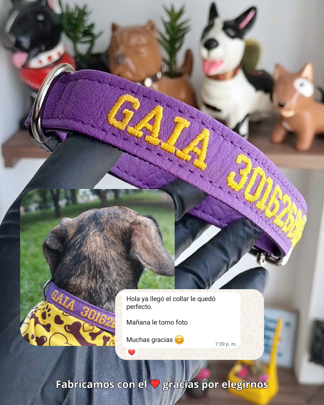 testimonio collar